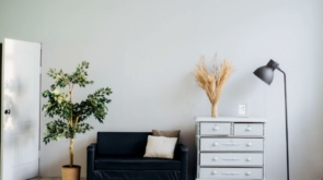 alexandra-gorn-485551-unsplash-1600x900
